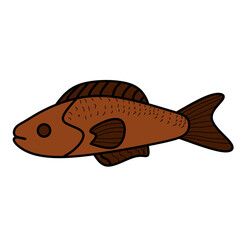 Obraz premium illustration of a fish