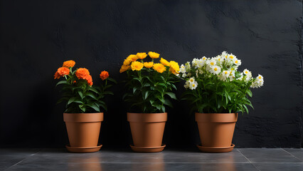 Fototapeta premium four flower pots with flowers on a gray background.