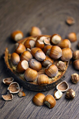 Close-up. Hazelnuts in shell and without on a wooden stand.