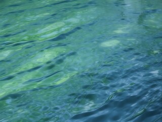 Fototapeta na wymiar Green surface of the ocean