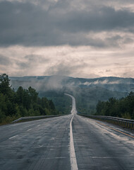 Straight empty highway stretching toward distant forest on a cloudy day