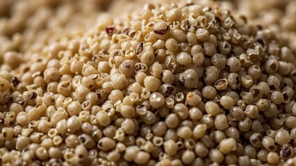 Macro shot of quinoa grains highlighting their small, detailed texture