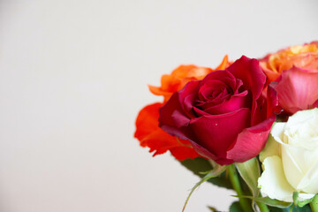 赤とオレンジ色のバラ