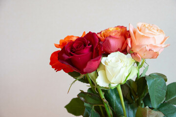 色とりどりのバラ