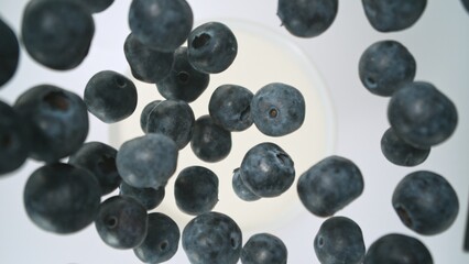 Fresh blueberries falling into yoghurt cream, top down view