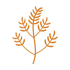 leaves, branches ,floral boho doodle element