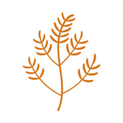 leaves, branches ,floral boho doodle element