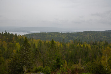 fog in the mountains