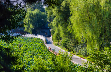 Summer landscape of Shichahai Park in Beijing