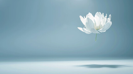 levitating flower blooming in mid-air, beauty and fragility of mental health on a light blue background, copyspace