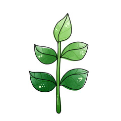green leaf icon.