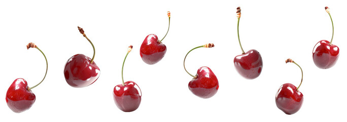 Cherries floating over isolated transparent background