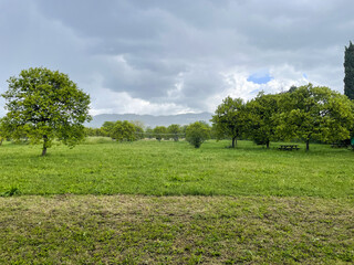 landscape of a green field on a gray day