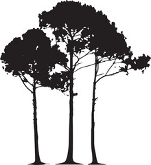 Fototapeta premium silhouette of tree