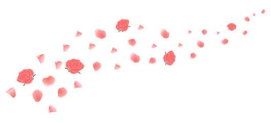 pink rose petals falling. vector illustration isolated on white background.