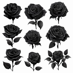 Vector set of decorative rose with leaves. Flower silhoutte isolated on a white background.