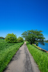 川岸の風景