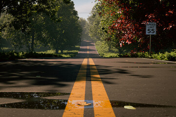 Empty asphalt road through a forest area early in the morning - 3d illustration