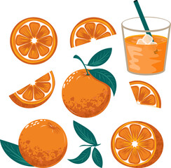 A vibrant vector set featuring various orange slices, whole oranges, and juice splashes, perfect for stock imagery with high commercial appeal.
