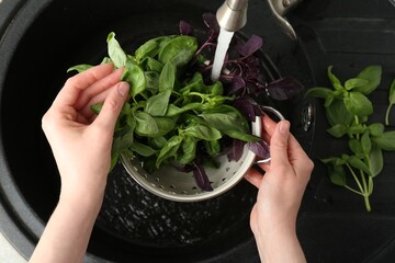 Woman washing different fresh basil leaves under tap water in metal colander above sink, top view