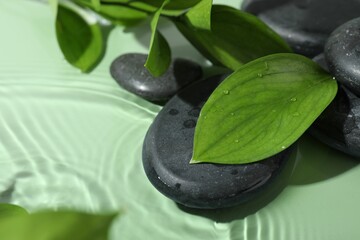 Spa stones and fresh leaves on light green background, closeup