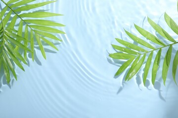 Palm leaves in water on light blue background, flat lay. Space for text