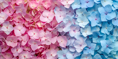 pink and blue flower autumn leaves background