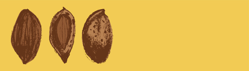 Vector almond banner template. Hand drawn almonds drawing, almond nuts illustration. Marzipan paste or almond butter badges. Floral sketch with charcoal textures. Almond emblem for organic food label.
