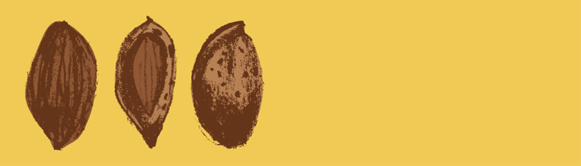 Vector almond banner template. Hand drawn almonds drawing, almond nuts illustration. Marzipan paste or almond butter badges. Floral sketch with charcoal textures. Almond emblem for organic food label.