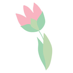 Illustration of a Cartoon cute pink Tulip. Pink tulip symbol or Icon. Hand drawn Spring Blooming Flower Isolated on White background. Vector Flat Design Object for Greeting Card Design, Women Day