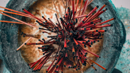 Close-up, upside-down view of many red incense sticks that have been burned and used up. placed on...