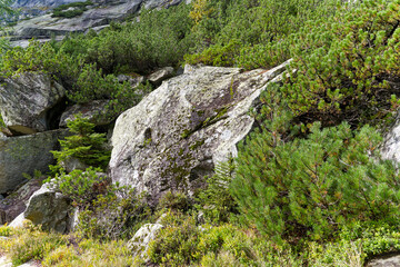 Scenic view of alpine landscape at hiking trail at Swiss mountain pass Grimsel on a cloudy late summer day. Photo taken September 19th, 2023, Grimsel, Canton Bern, Switzerland.