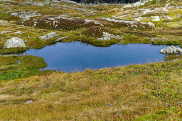 Alpine landscape in the Swiss Alps with pond and meadow at mountain pass Grimsel on a cloudy autumn day. Photo taken September 19th, 2023, Grimsel, Canton Bern, Switzerland.