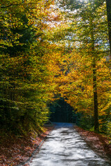 Fall or Autum in the Walgau Valley, State of Vorarlberg, Austria