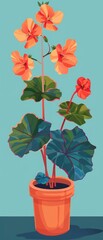 Begonia Flower flat design front view tropical conservatory theme animation Analogous Color Scheme