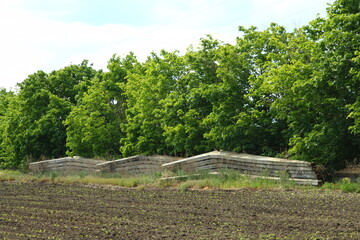 A large wooden structure surrounded by trees