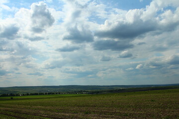 A large field with a cloudy sky