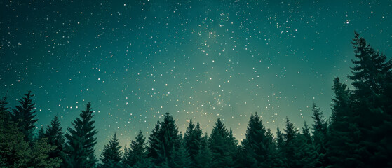 A starry night sky with a forest in the background