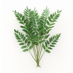 Fototapeta premium Collection of green leaves isolated on a plain white backdrop