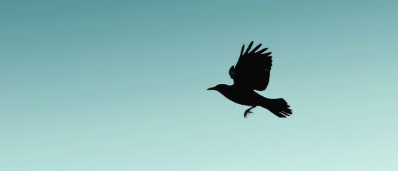Fototapeta premium A minimalist black bird is flying in the sky