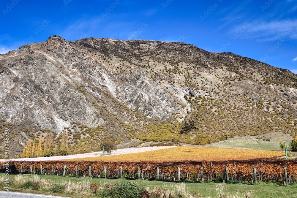 Wall mural new zealand