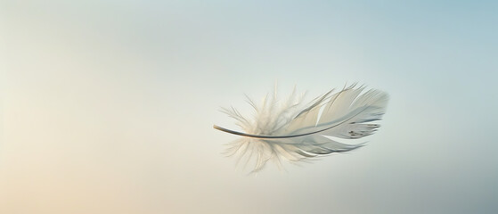 Obraz premium A minimalist feather is floating in the air