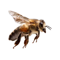 A brown and black bee is flying against a white background.