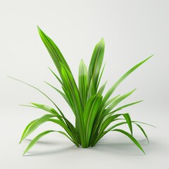 A green plant standing against a white backdrop