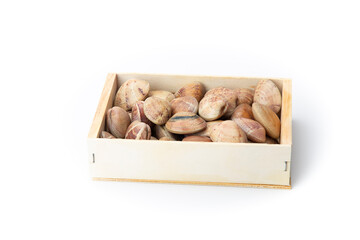 A variety of fresh clams with bits of ice, stored in a simple wooden box, isolated on a white...