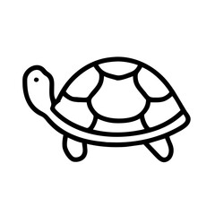 turtle on a white background