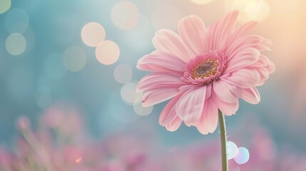 pink flower