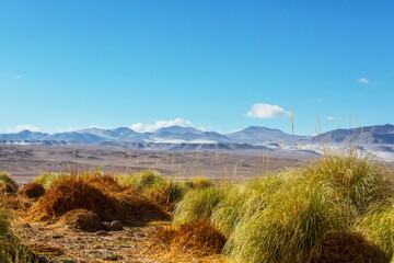 Northern Argentina