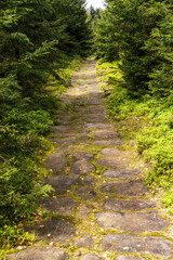 R&ouml;mische Stra&szlig;e in den Vogesen. Entstehung Ende des 1. Jh. vor Christus. Wahrscheinlich Verbindung vom Donon nach Metz.