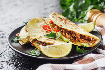 set of delicious fresh colorful quesadilla on a dark background